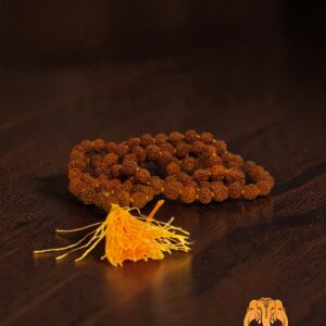 Mala rudraksha 108 perles